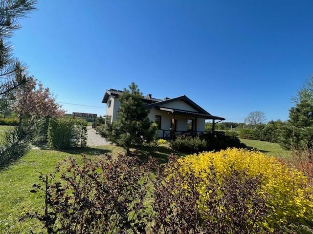 Villa Na Skraju Puszczy à Hajnówka Extérieur photo