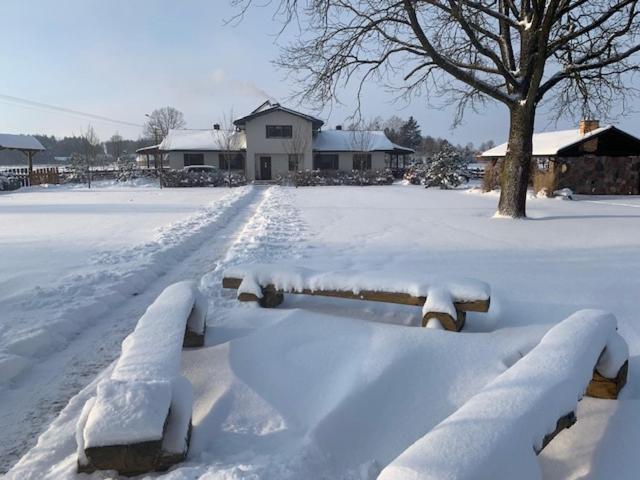 Villa Na Skraju Puszczy à Hajnówka Extérieur photo